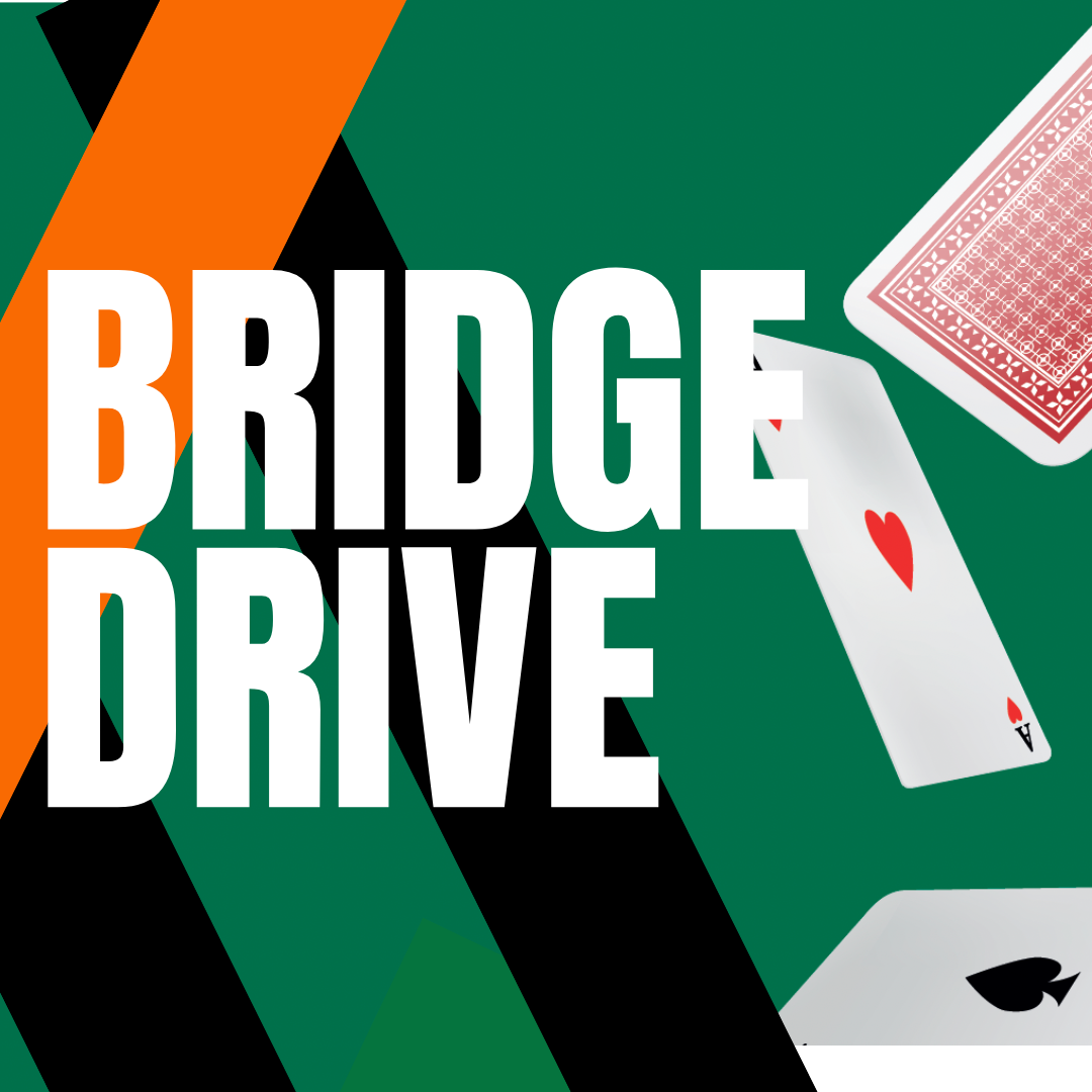 Bridgedrives District Drenthe